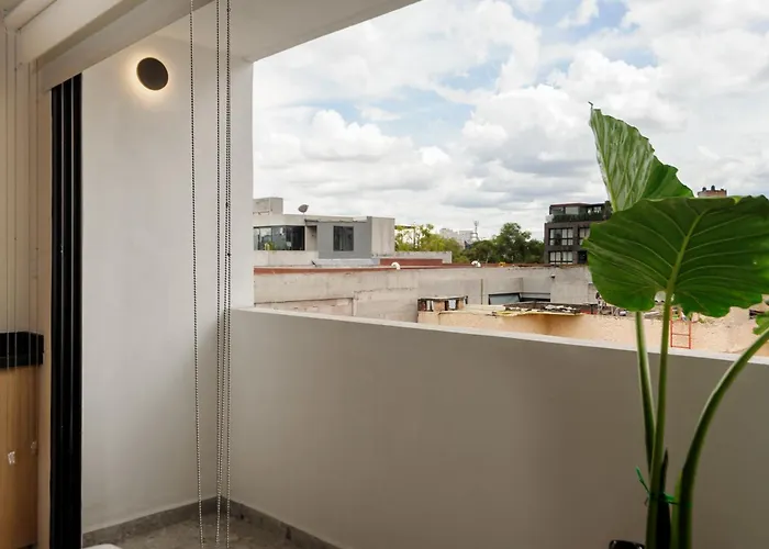 Colima 340 By Wynwood House Apartment Mexico City