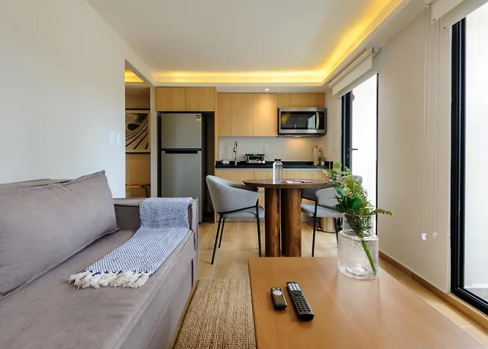 Colima 340 By Wynwood House * Mexico City