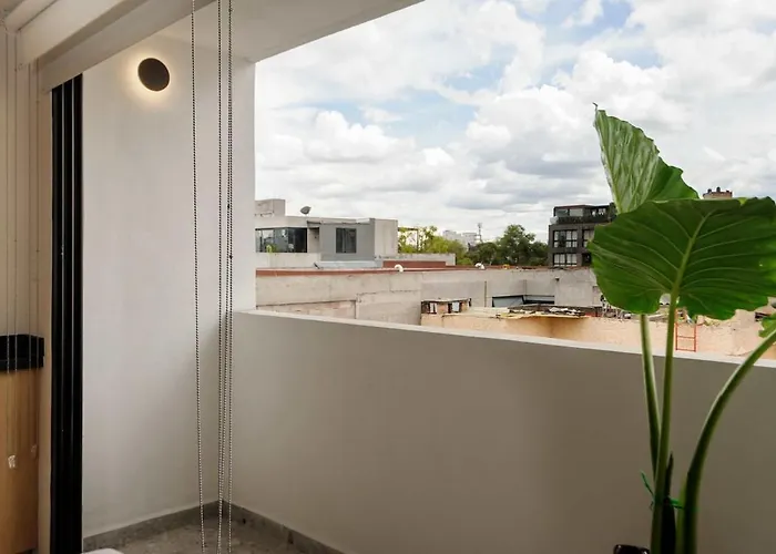 Colima 340 By Wynwood House Mexico City
